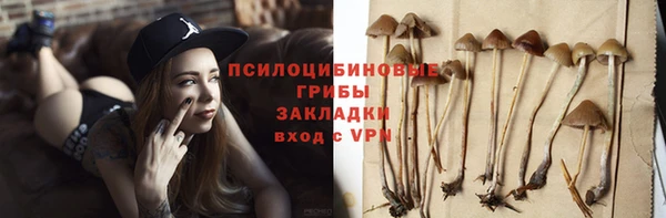 гидра Белокуриха
