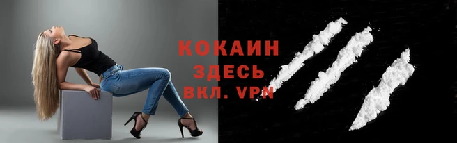гидра Белокуриха