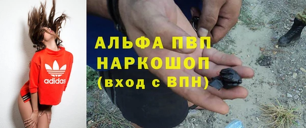гидра Белокуриха