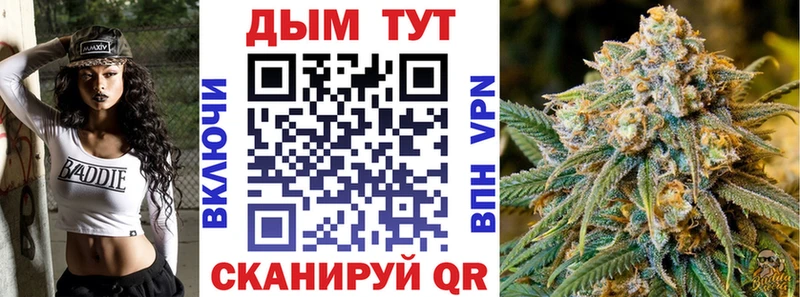 Конопля AK-47 Южно-Сухокумск